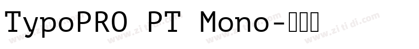 TypoPRO PT Mono字体转换